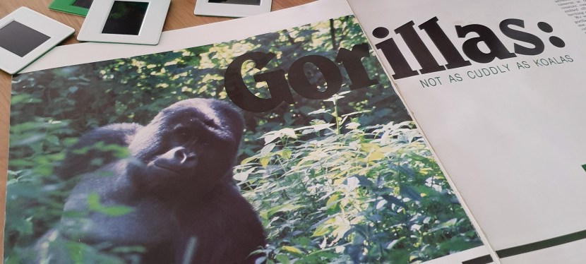 Tourists in the&nbsp;Mist