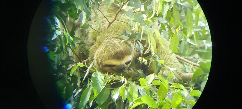 Pura Vida in Costa&nbsp;Rica